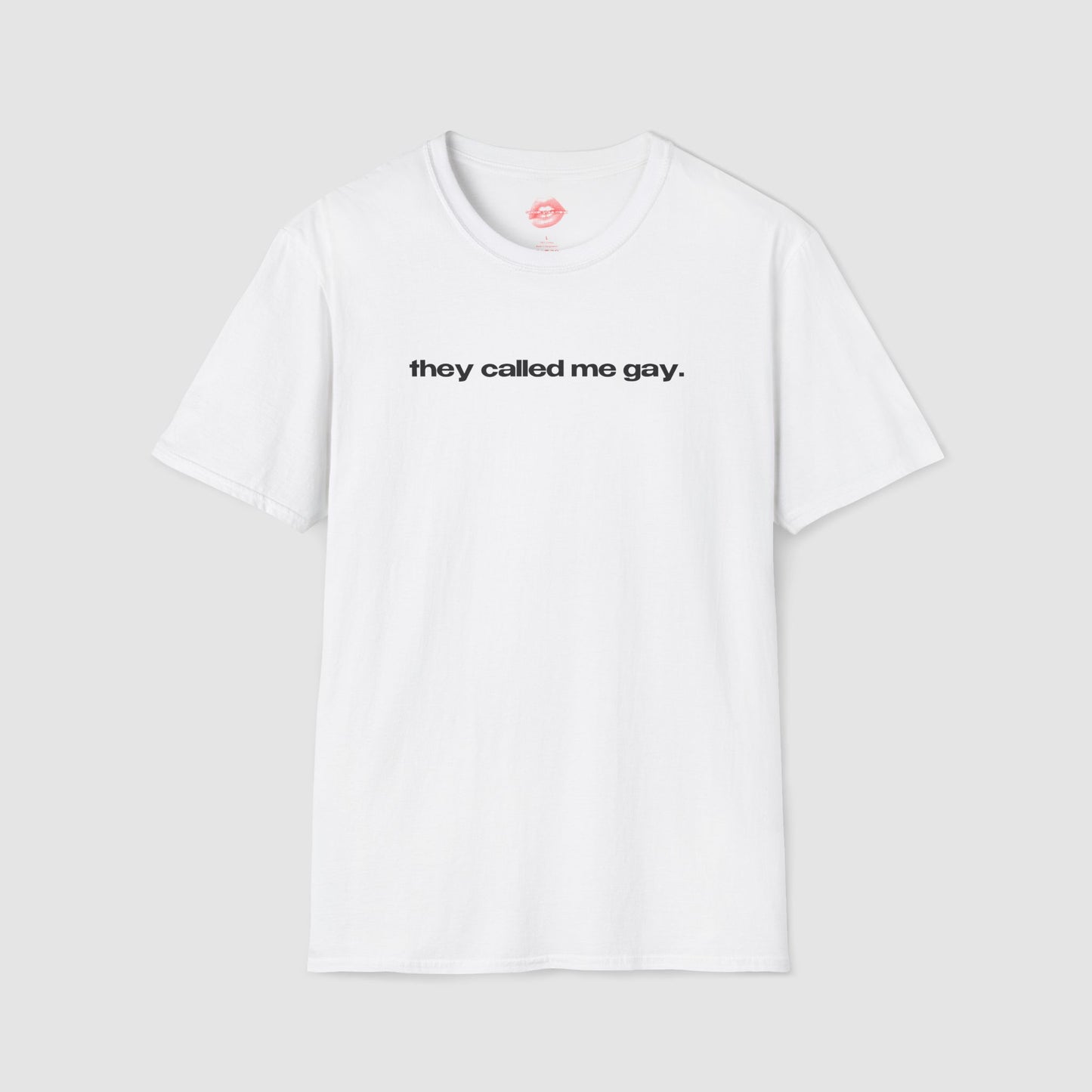 "They Called Me Gay. They Were Not Wrong." | Text Only | T-Shirt