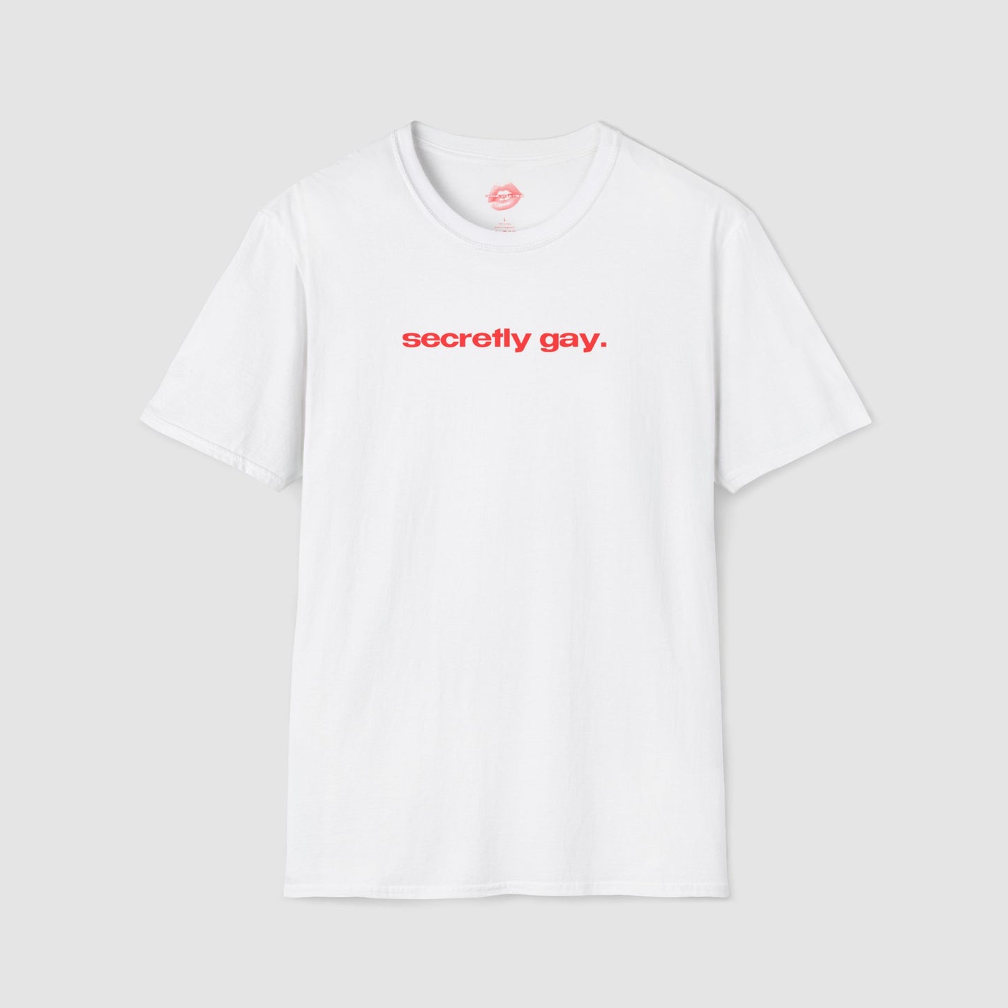 "Secretly Gay." | Text Only | T-Shirt
