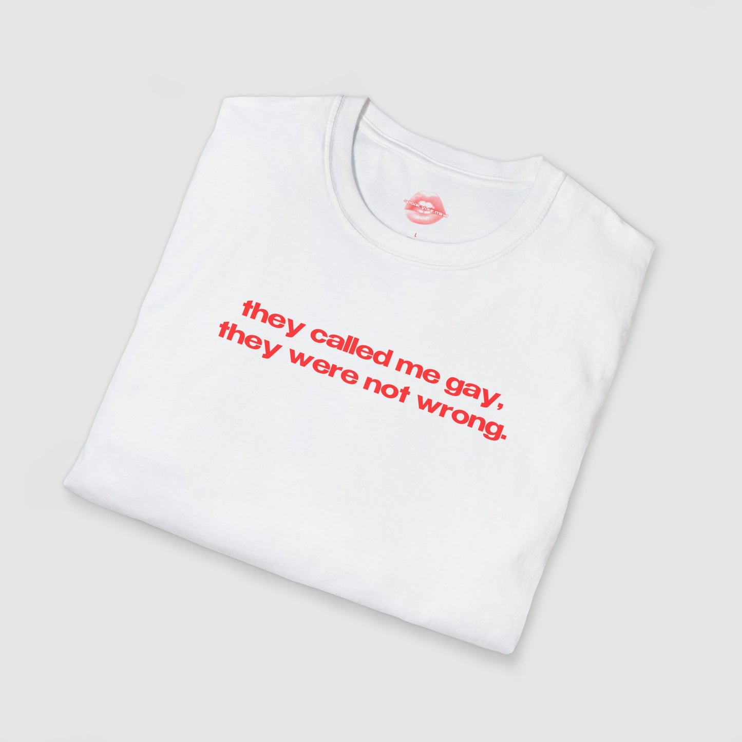"They Called Me Gay, They Were Not Wrong." | Text Only | T-Shirt