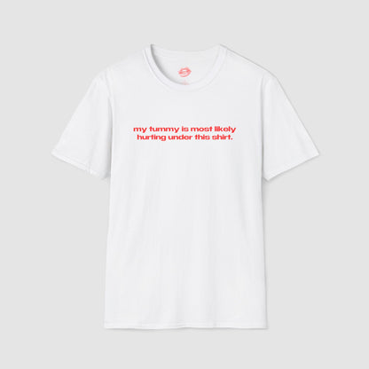 "My Tummy Is Most Likely Hurting Under This Shirt." | Text Only | T-Shirt