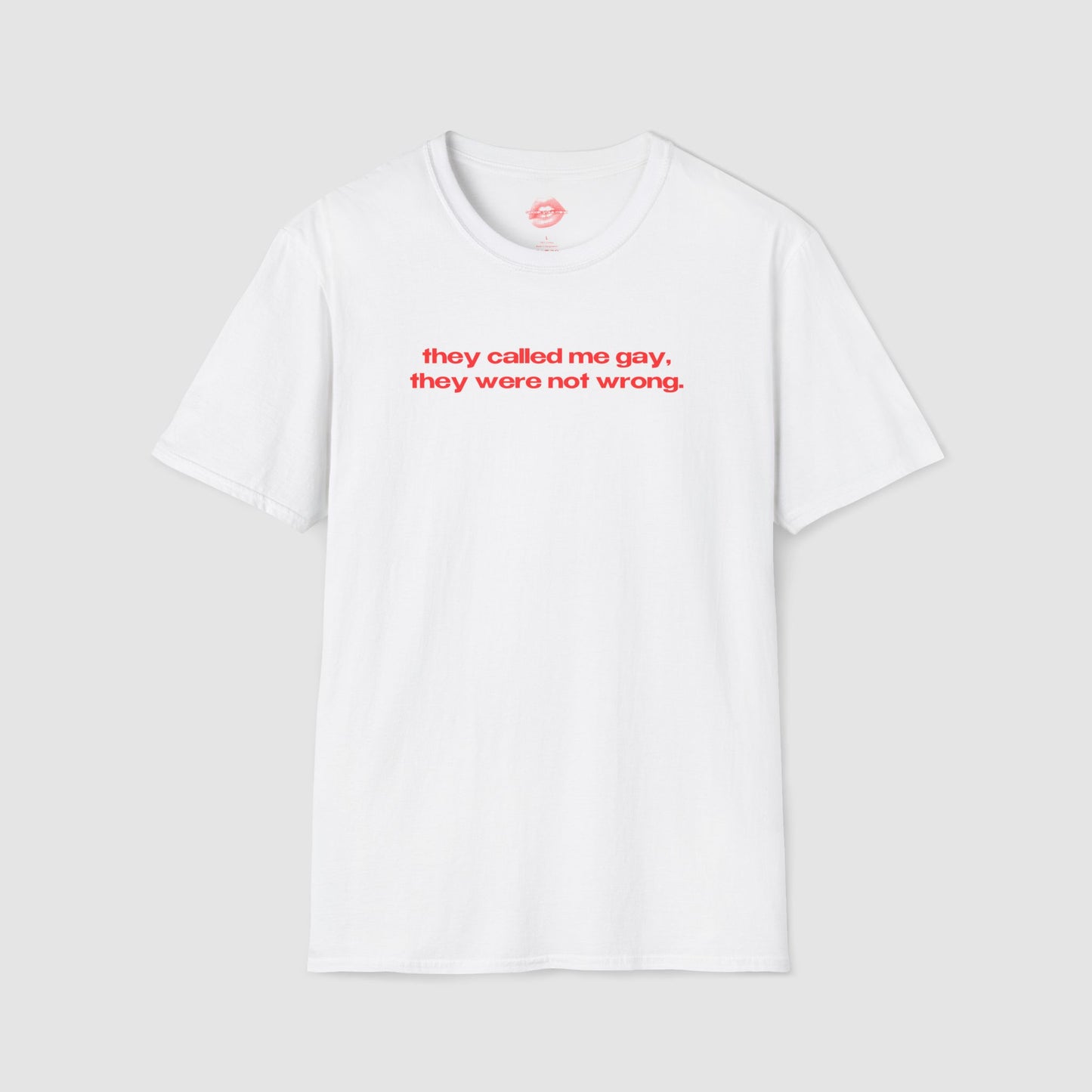 "They Called Me Gay, They Were Not Wrong." | Text Only | T-Shirt