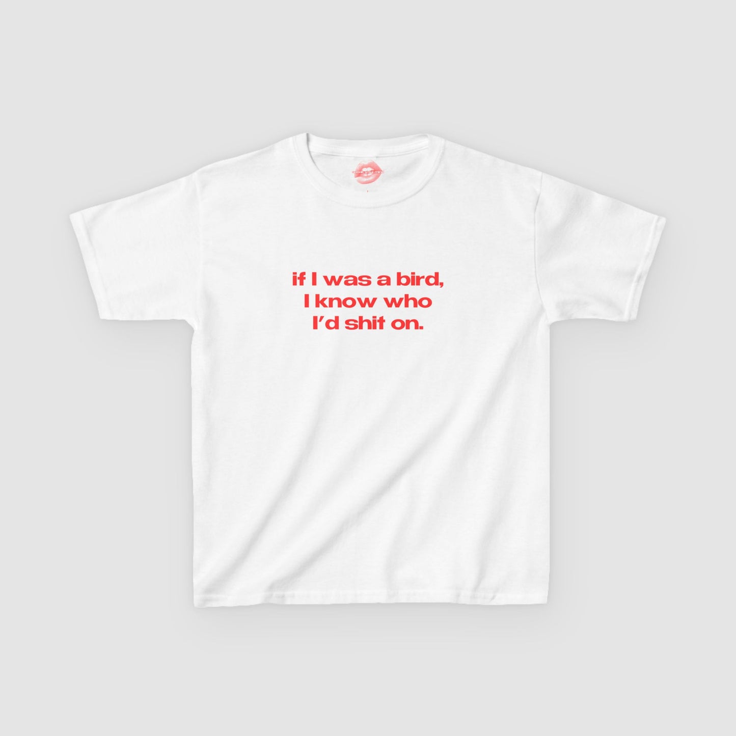 "If I Was A Bird, I Know Who I'd Shit On." | Text Only | Baby Tee
