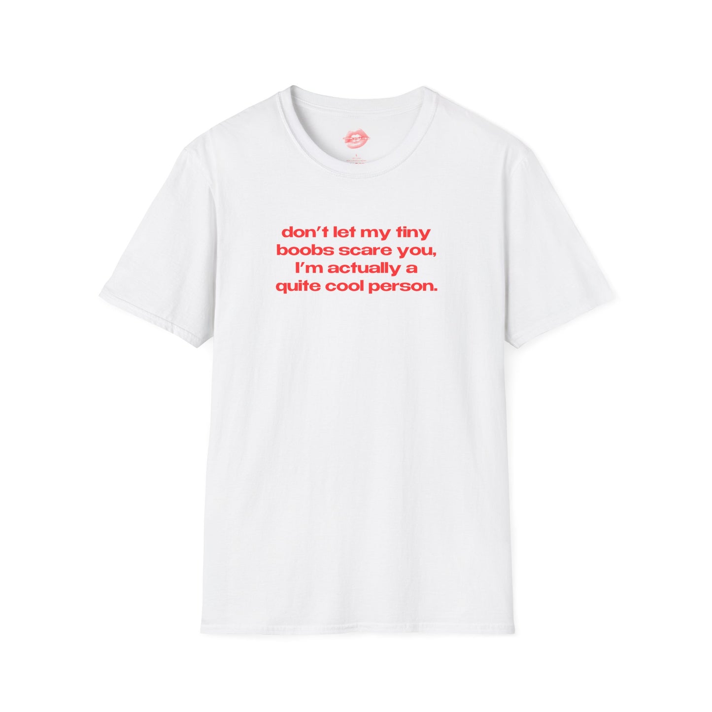 "Don't Let My Tiny Boobs Scare You, I'm Actually A Quite Cool Person." | Text Only | T-Shirt