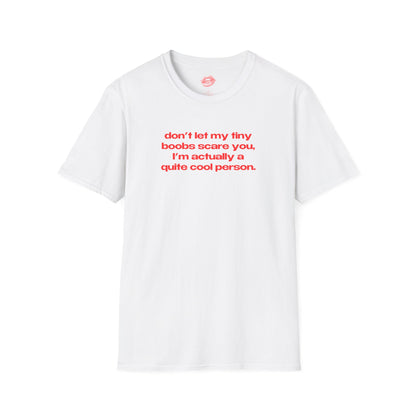 "Don't Let My Tiny Boobs Scare You, I'm Actually A Quite Cool Person." | Text Only | T-Shirt