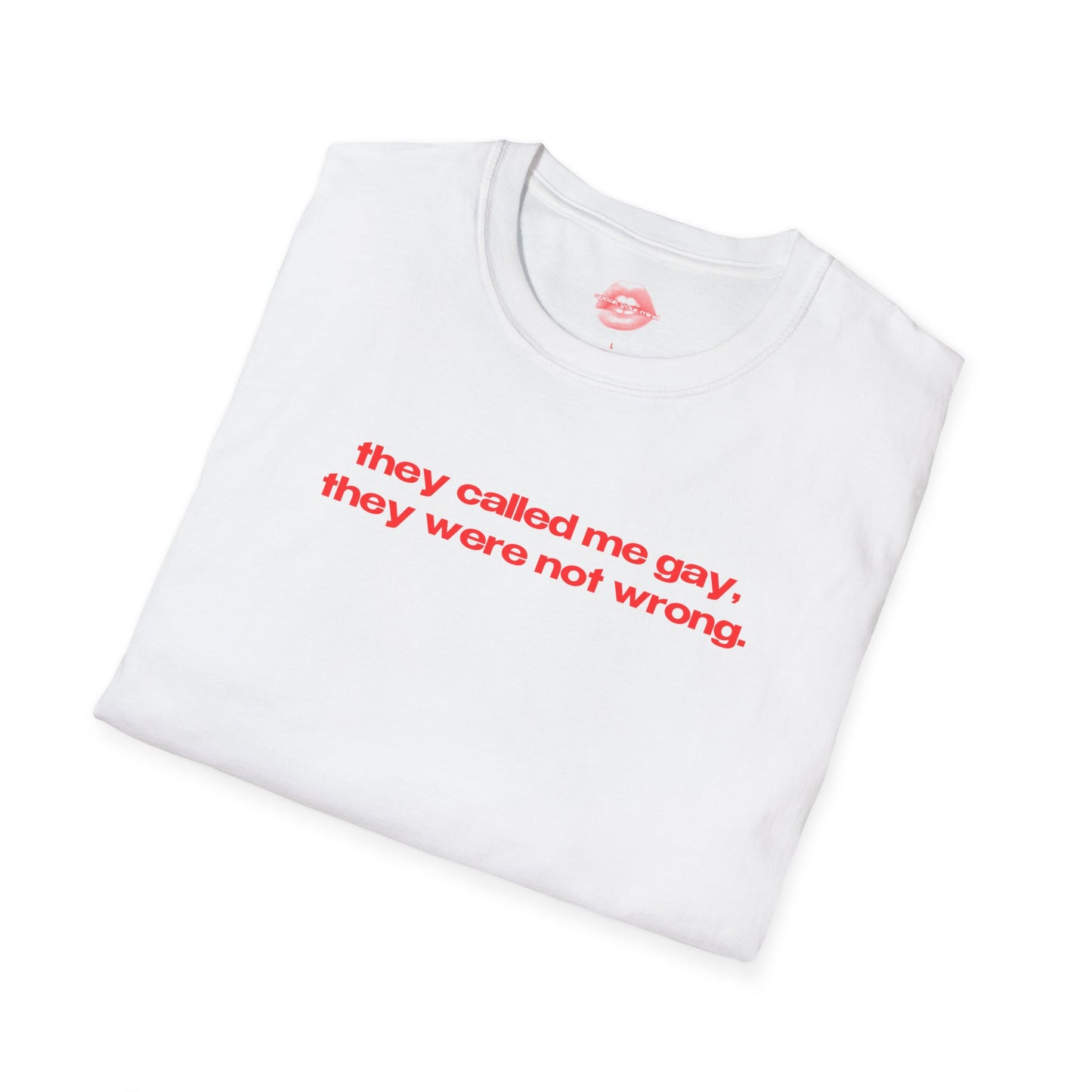 "They Called Me Gay, They Were Not Wrong." | Text Only | T-Shirt