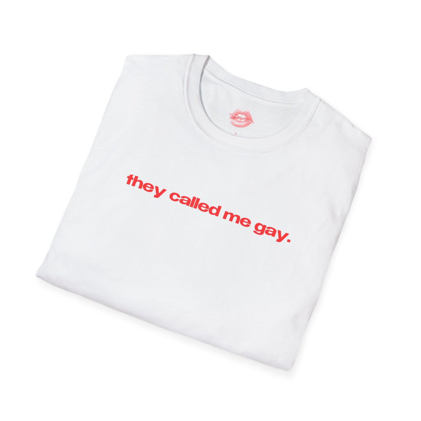 "They Called Me Gay. They Were Not Wrong." | Text Only | T-Shirt