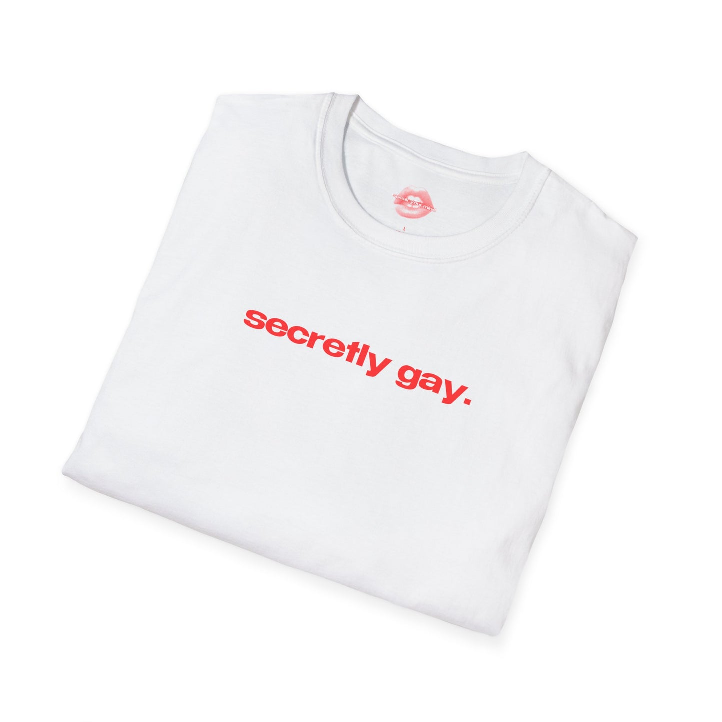 "Secretly Gay." | Text Only | T-Shirt