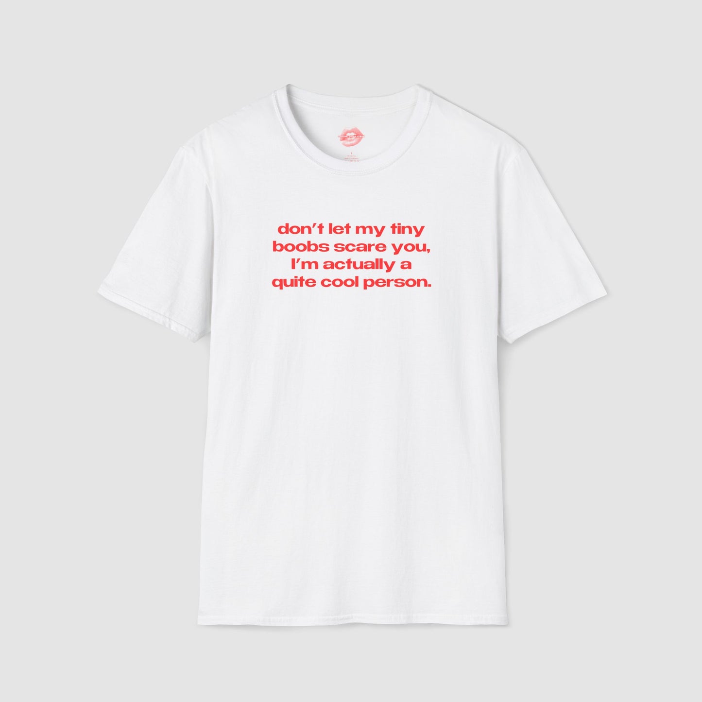 "Don't Let My Tiny Boobs Scare You, I'm Actually A Quite Cool Person." | Text Only | T-Shirt