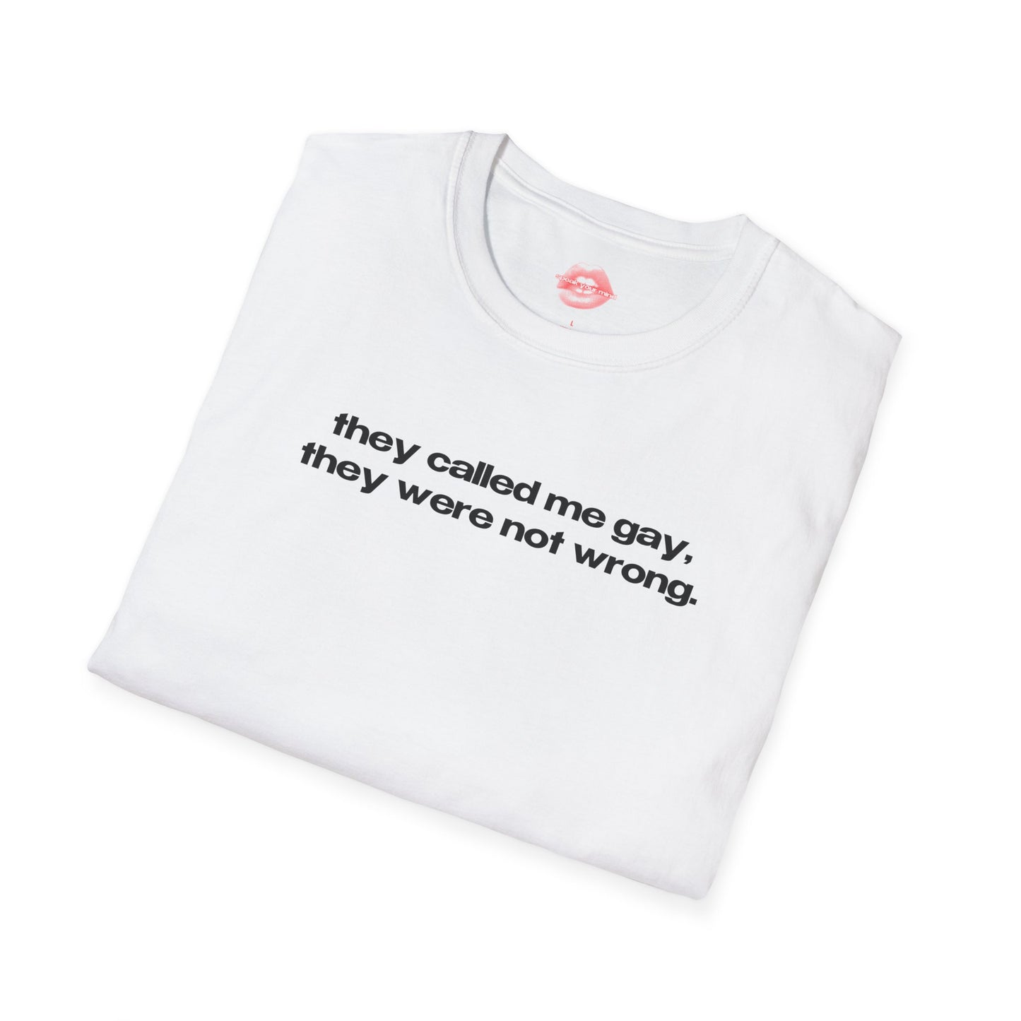 "They Called Me Gay, They Were Not Wrong." | Text Only | T-Shirt